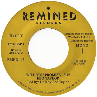 WILL YOU PROMISE / MAYE OMAMA