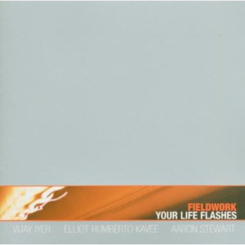 YOUR LIFE FLASHES