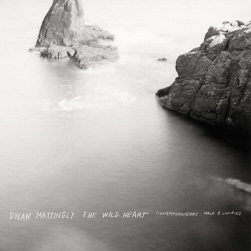 DYLAN MATTINGLY: THE WILD HEART