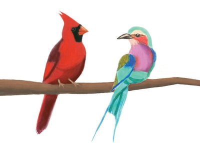 The Cardinal and the Roller