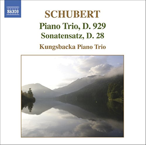 Schubert: Piano Trio Op 100, Etc / Kungsbacka Piano Trio