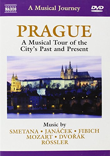 Musical Journey: Prague Musical Tour City's Past