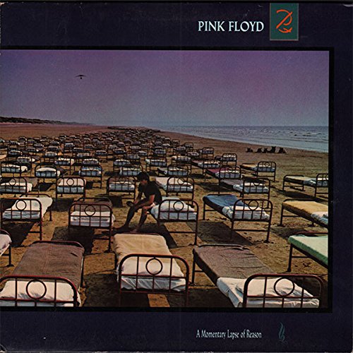 MOMENTARY LAPSE REASON (LP)