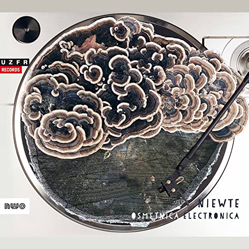 Osmetnica Electronica / Niewte