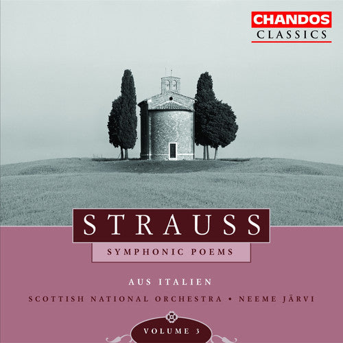 R. Strauss: Symphonic Poems Vol 3 / Järvi, Et Al