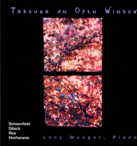 Wenger, Lucy: Through an Open Window