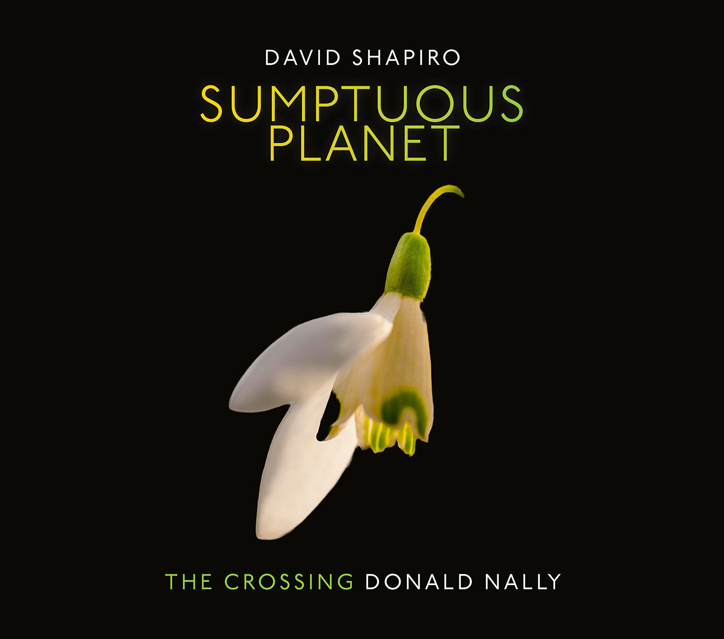 David Shapiro: Sumptuous Planet / The Crossing