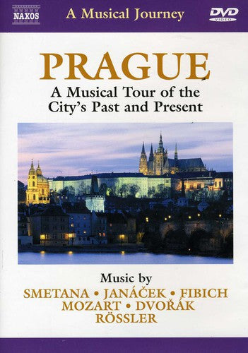 Musical Journey: Prague Musical Tour City's Past