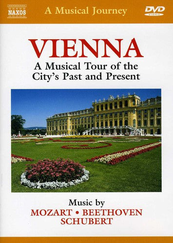 Musical Journey: Vienna Musical Tour City's Past