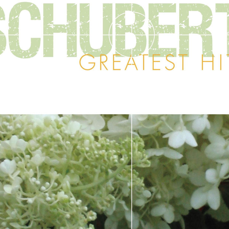SCHUBERT GREAT HITS