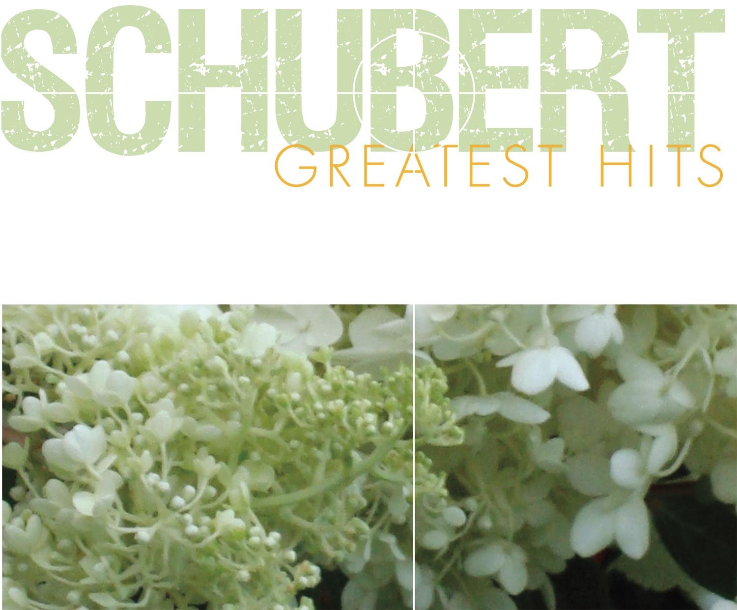 SCHUBERT GREAT HITS