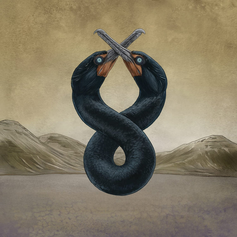 THE CORMORANT I & II LP