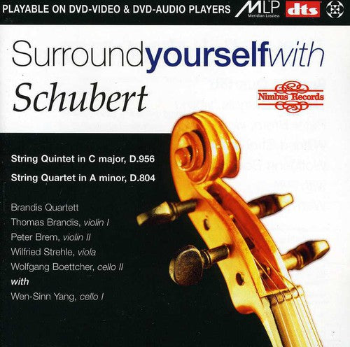 SURROUND YOURSELF SCHUBERT