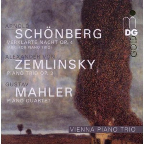 Schönberg, Zemlinsky, Mahler / Vienna Piano Trio