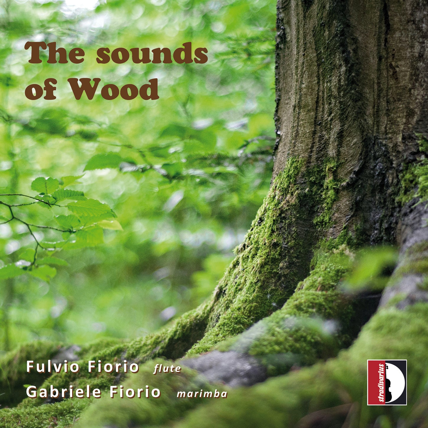 The Sounds of Wood / Fiorio & Fiorio