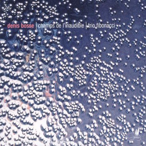 CHAMPS DE L'INAUDIBLE