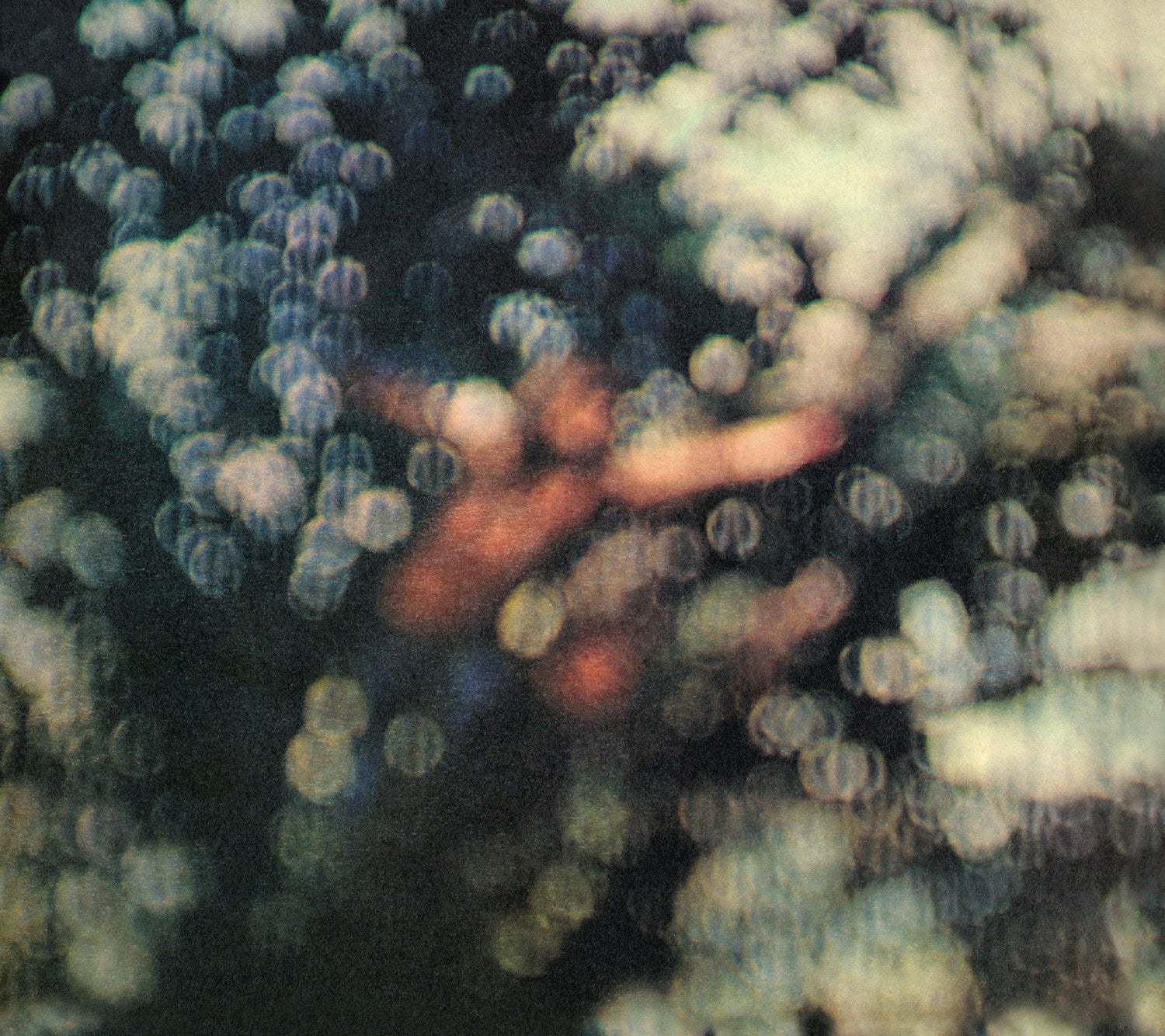 OBSCURED BY CLOUDS