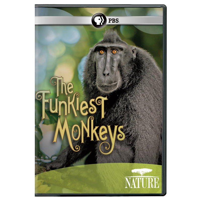 FUNKIEST MONKEYS