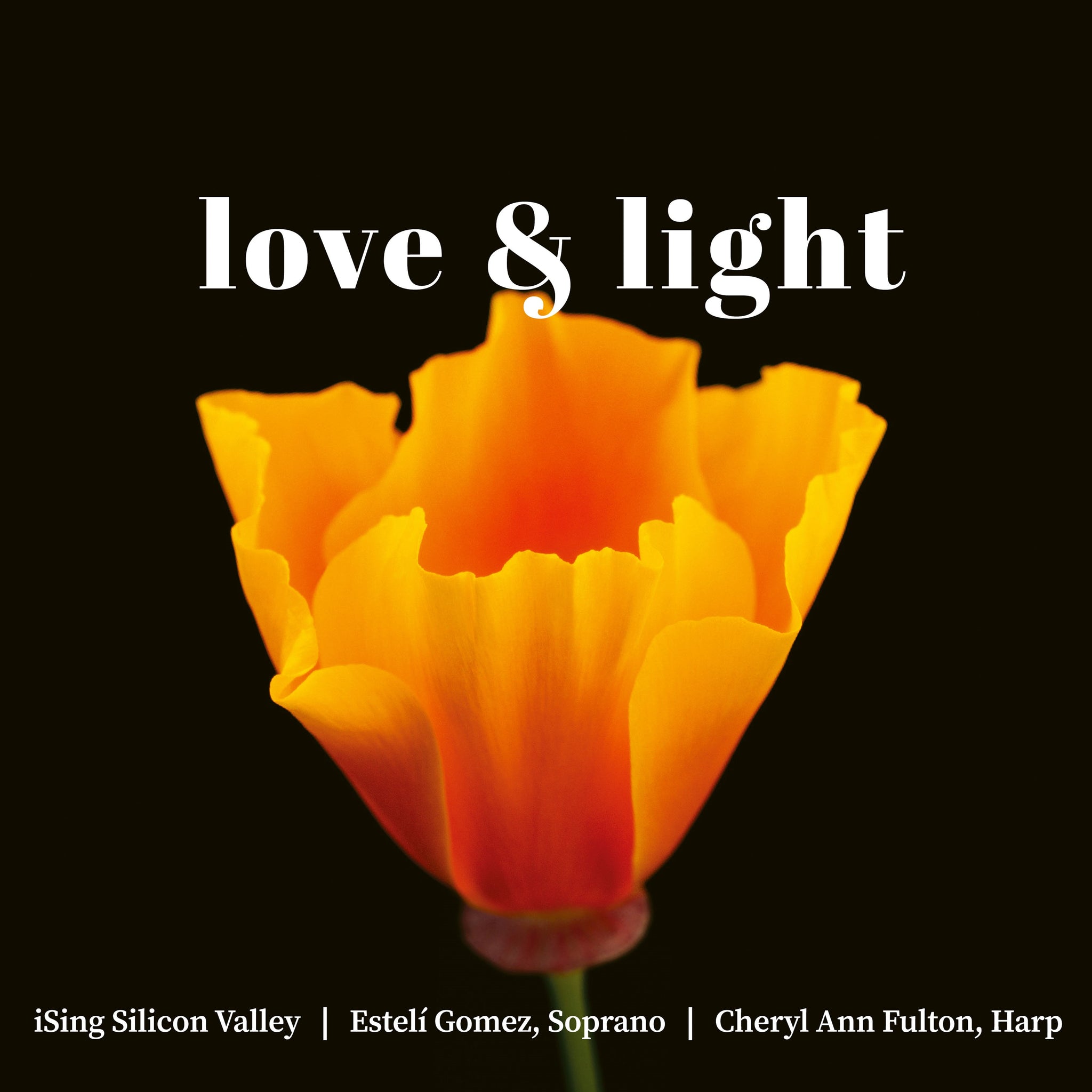 love & light / Gomez, Fulton, iSing Silicon Valley