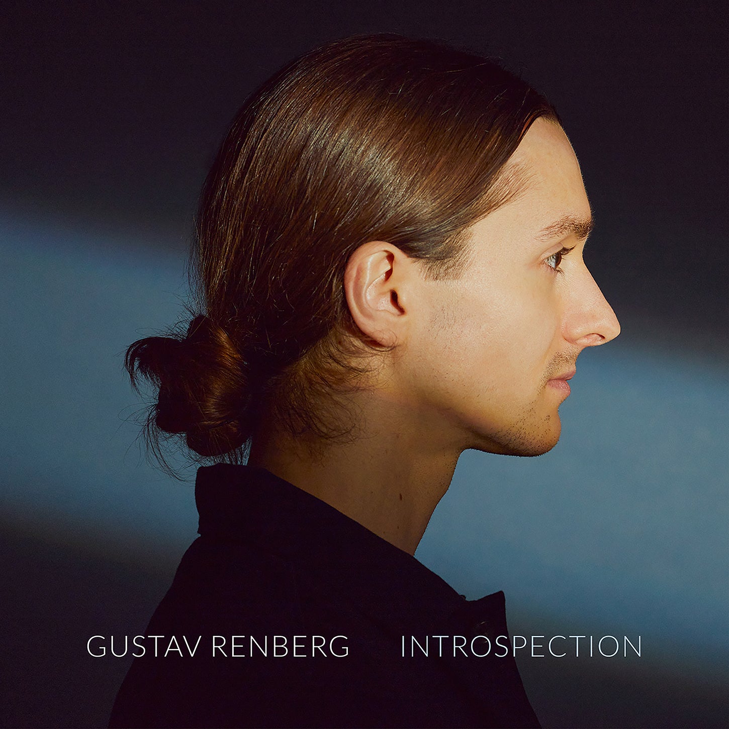 Renberg: Introspection / Gustav Renberg