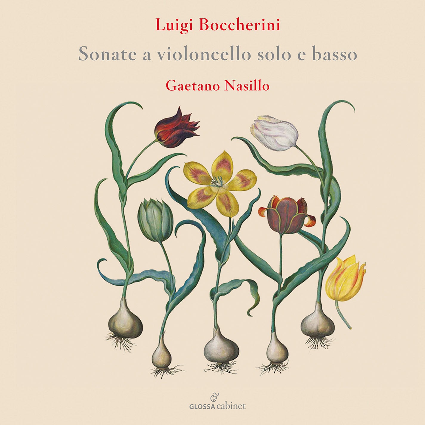 Boccherini: Flute Concertos