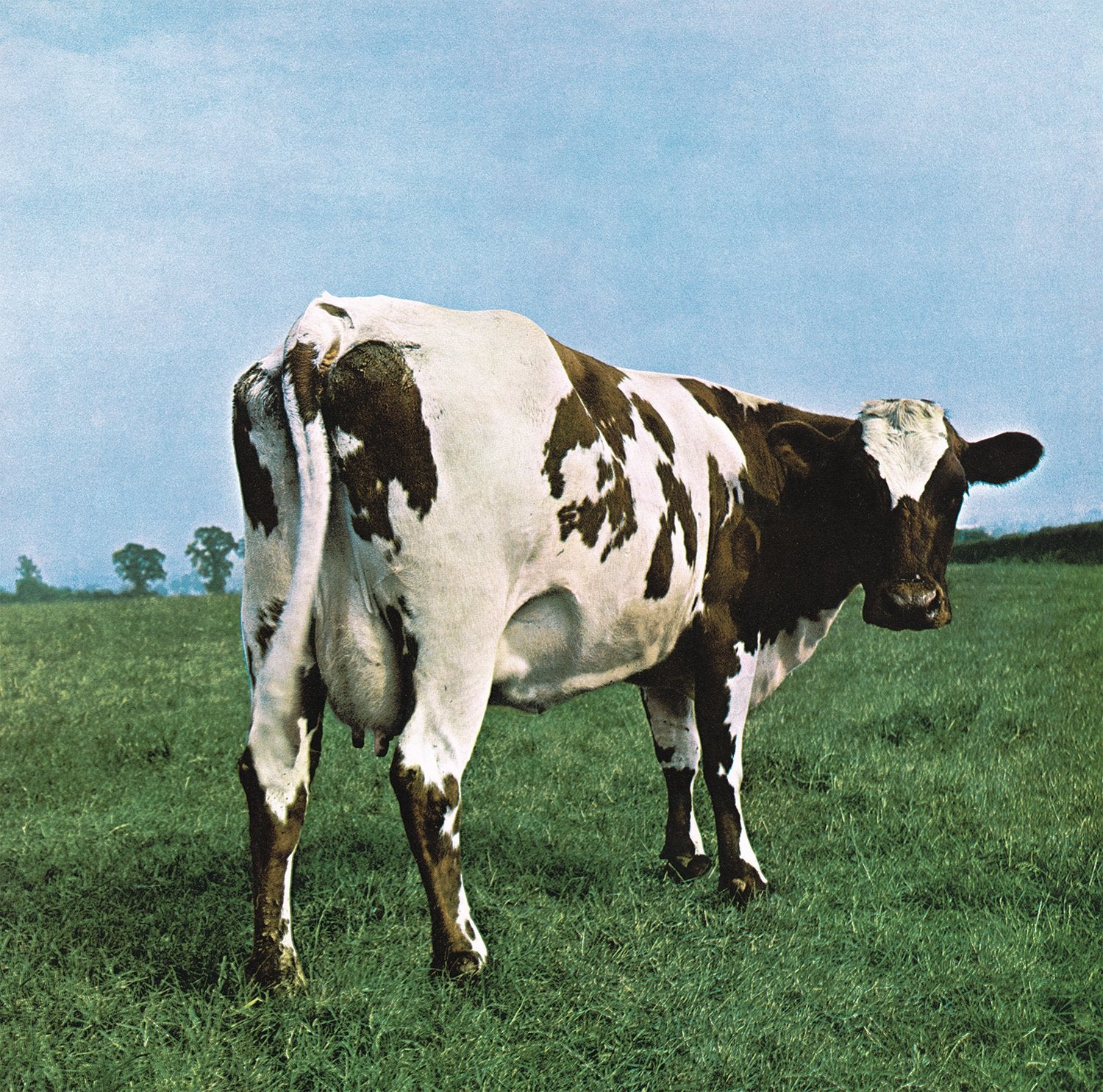 ATOM HEART MOTHER (LP)