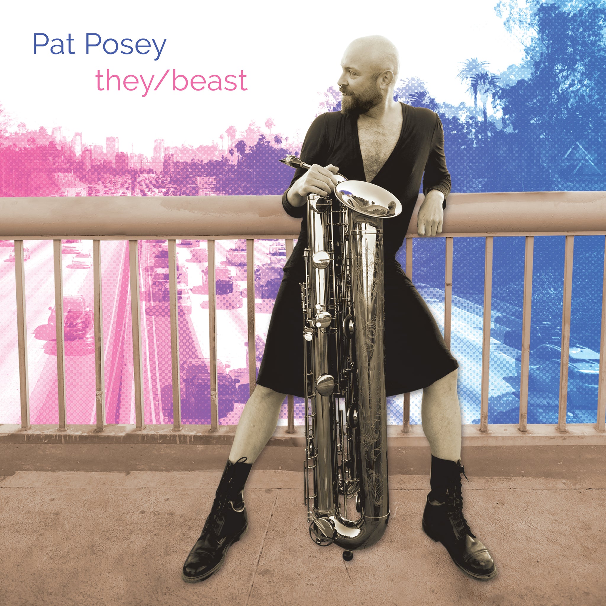 they/beast - Music for Tubax by Bach, Glass, Washington et al. / Pat Posey