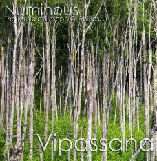 Joe Phillips Jr.: Vipassana / Numinous