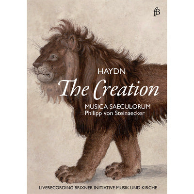 Haydn: The Creation / Steinaecker, Musica Saeculorum