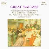 Great Waltzes - Sleeping Beauty, Emperor Waltz, Etc