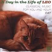 A Day In The Life Of Leo - Music For You & Your Cat