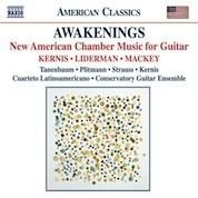 American Classics - Awakenings: New American Chamber Music For Guitar