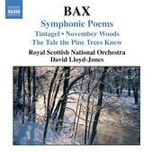 Bax: Symphonic Poems / Lloyd-Jones, Et Al