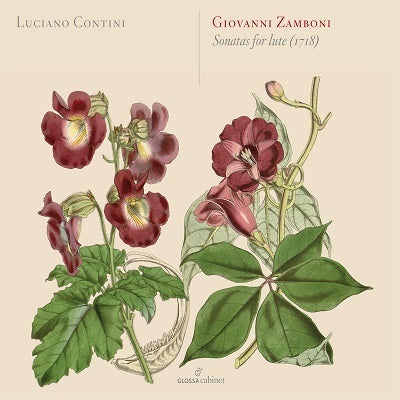 Zamboni: Sonatas for Lute (1718) / Contini