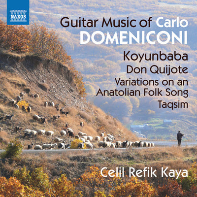 Guitar Music of Carlo Domeniconi / Kaya