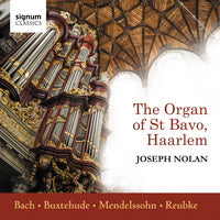 The Organ of St. Bavo, Haarlem / Nolan