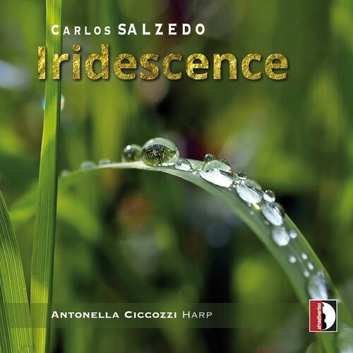 Iridescence / Ciccozzi