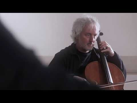 Bach: Sei suonate à cembalo certato è violoncello piccolo solo / Brunello, Galligioni, Loreggian