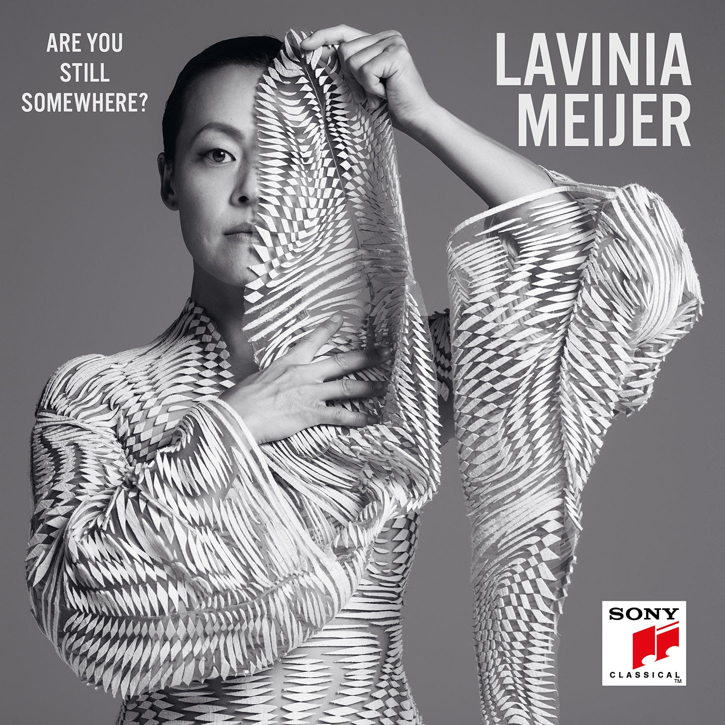 Are You Still Somewhere? / Lavinia Meijer