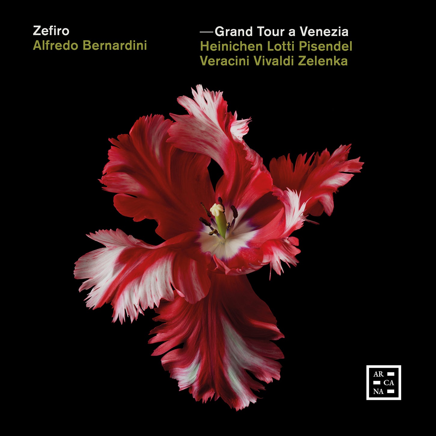 Vivaldi, Lotti, Pisendel et al: Grand Tour of Venice / Bernardini, Zefiro