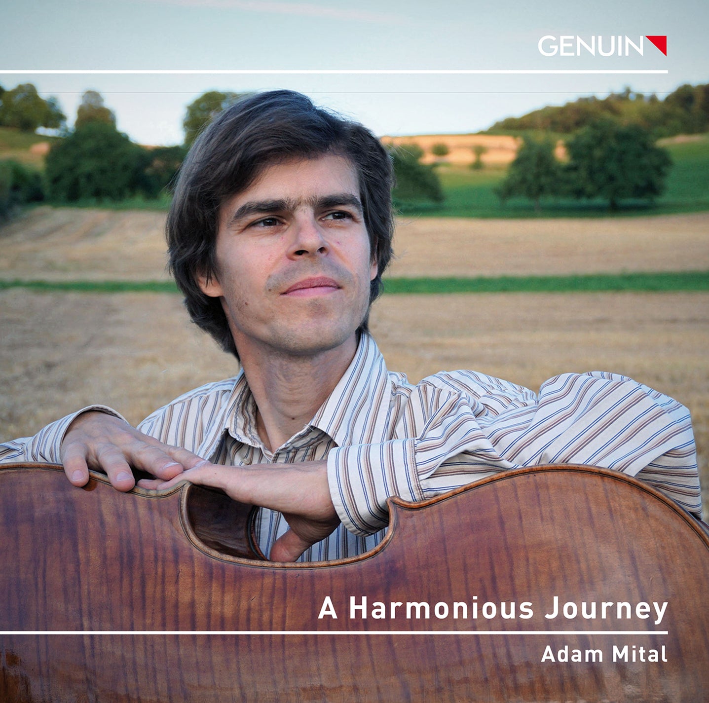 Bach: A Harmonious Journey / Adam Mital