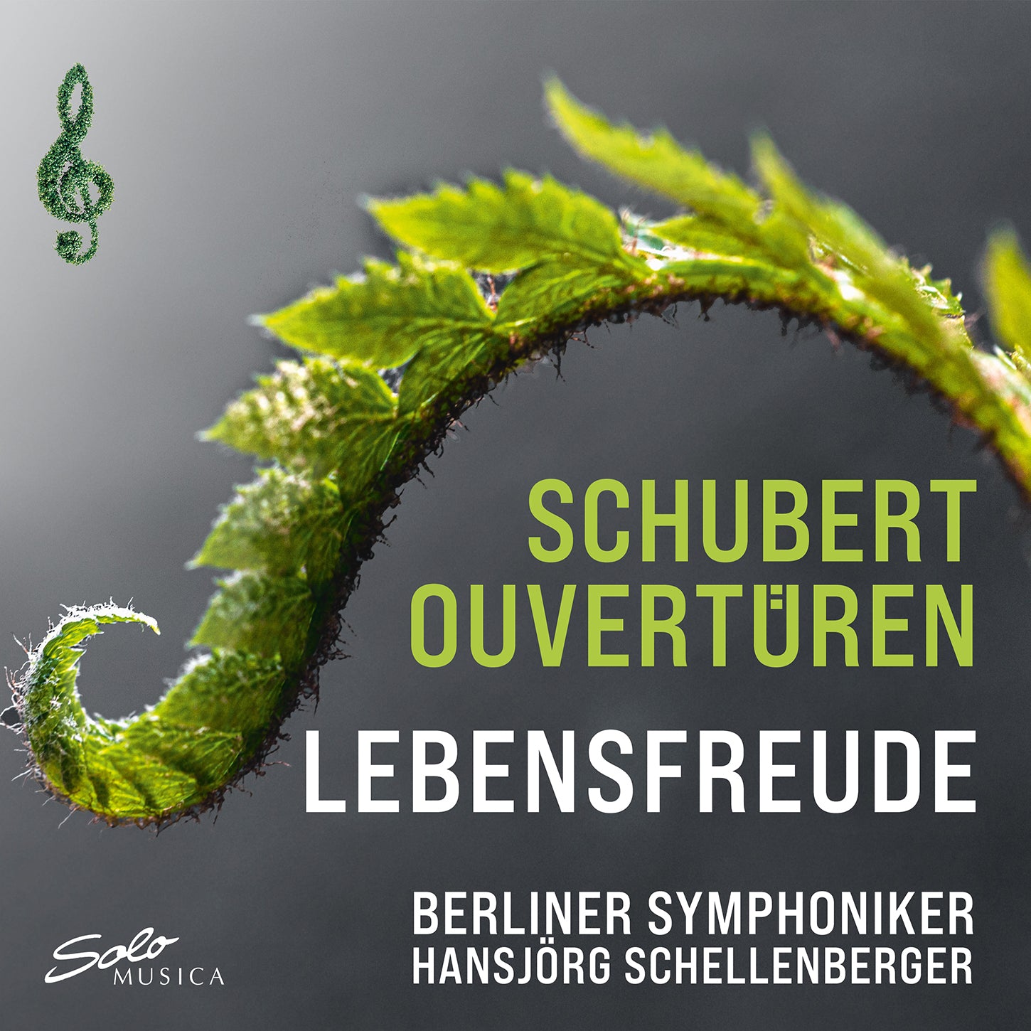 Schubert: Lebensfreude - Overtures / Schellenberger, German Symphony Orchestra Berlin