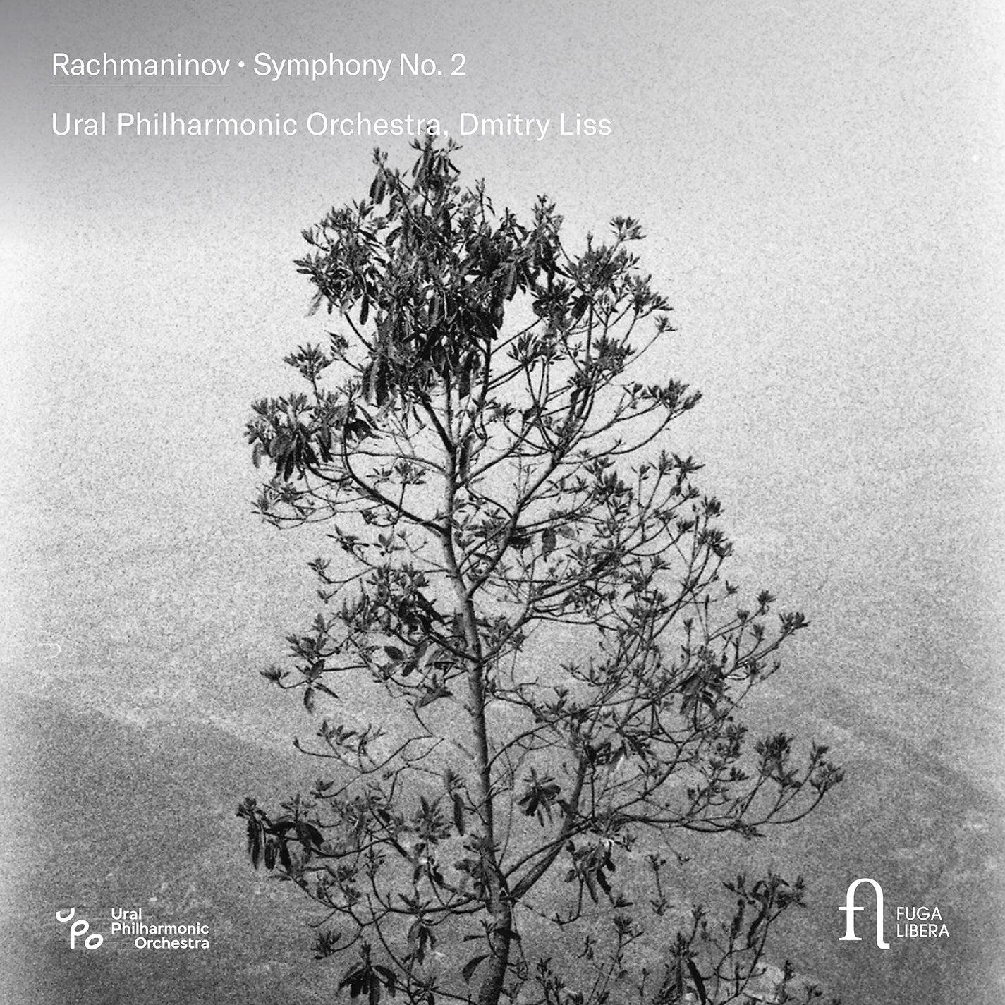 Rachmaninoff: Symphony No. 2 / Liss, Ural Philharmonic