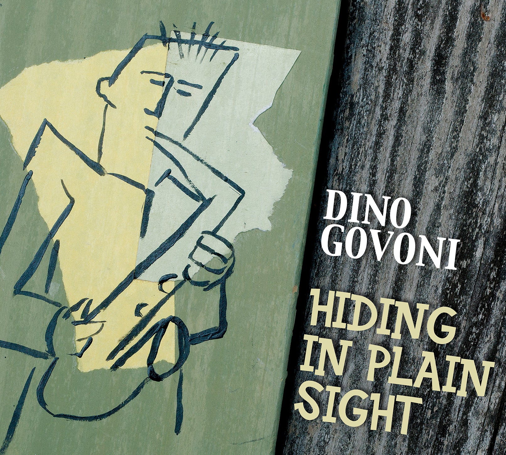 Hiding in Plain Sight / Dino Govoni