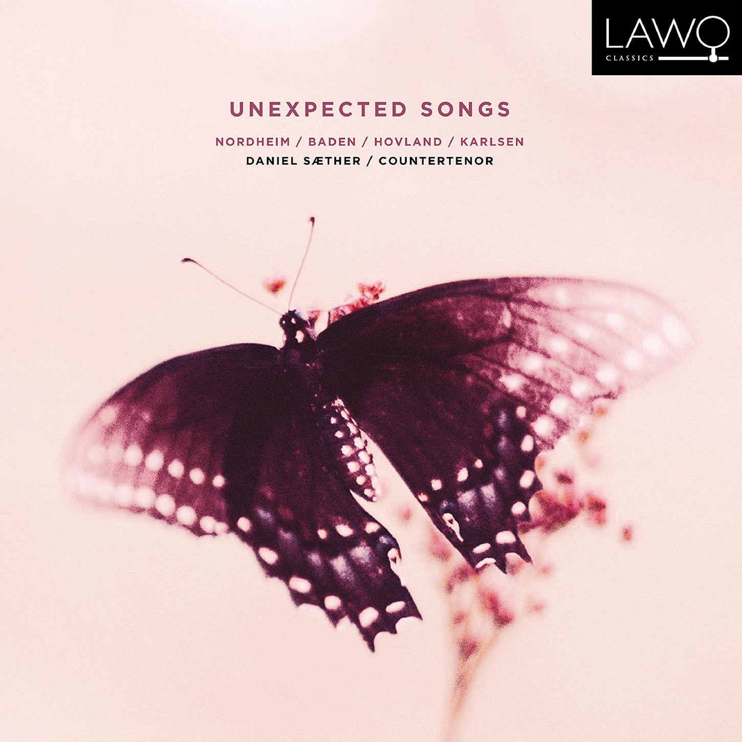 Unexpected Songs / Daniel Saether, et al