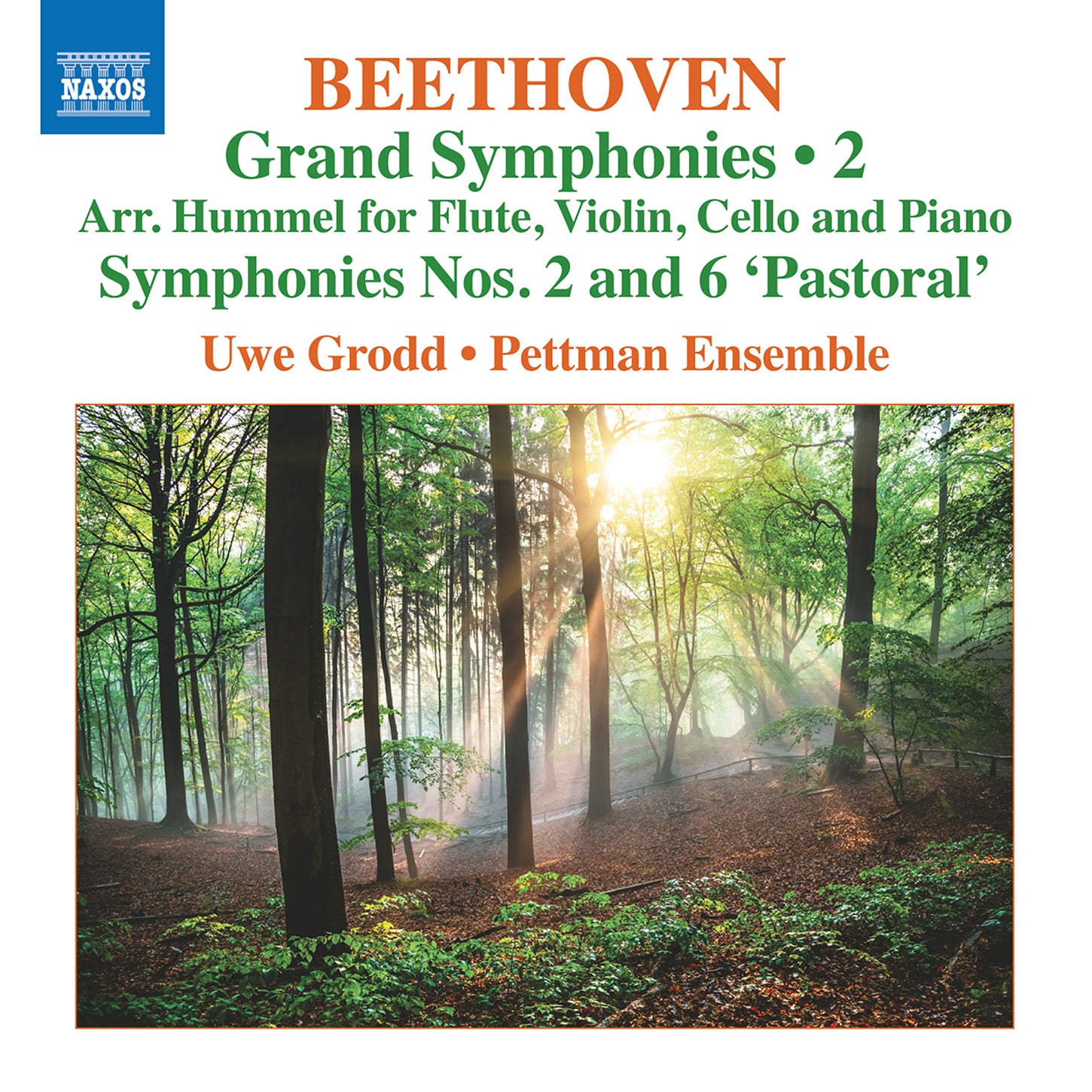 Beethoven: Symphonies vol. 2 - Nos. 2 & 6 (for piano trio & flute) / Grodd, Pettman Ensemble