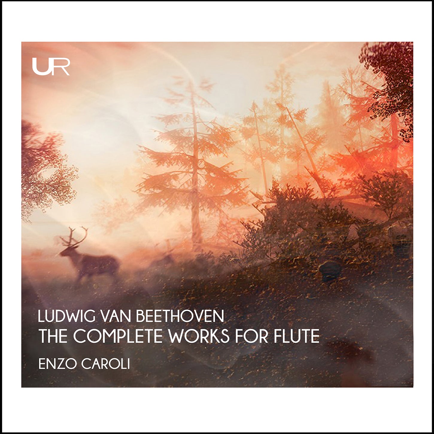 Beethoven: The Complete Works for Flute / Enzo Caroli