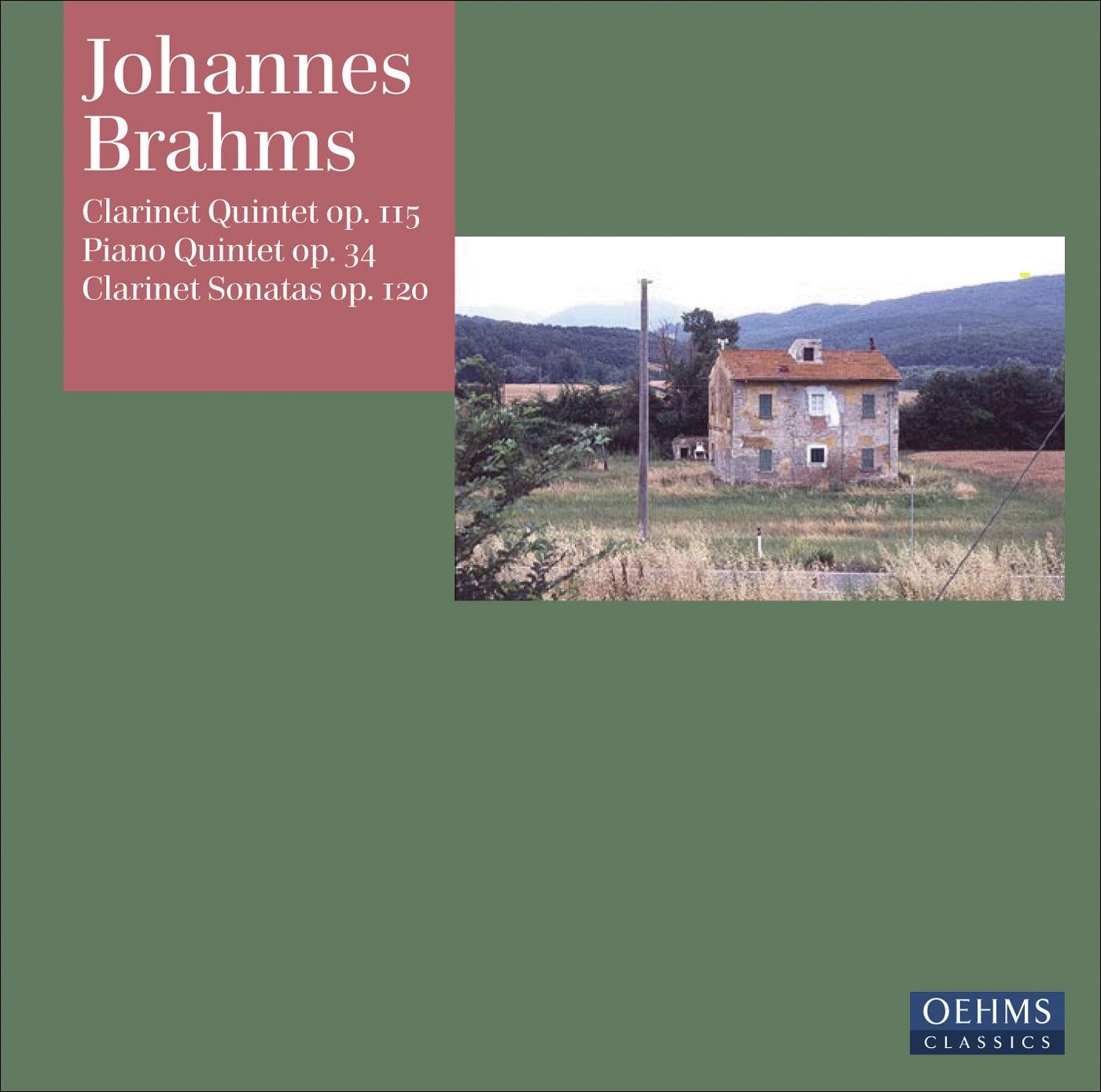 Brahms: Clarinet Quintet & Sonatas; Piano Quintet / Manno, Perl et al.