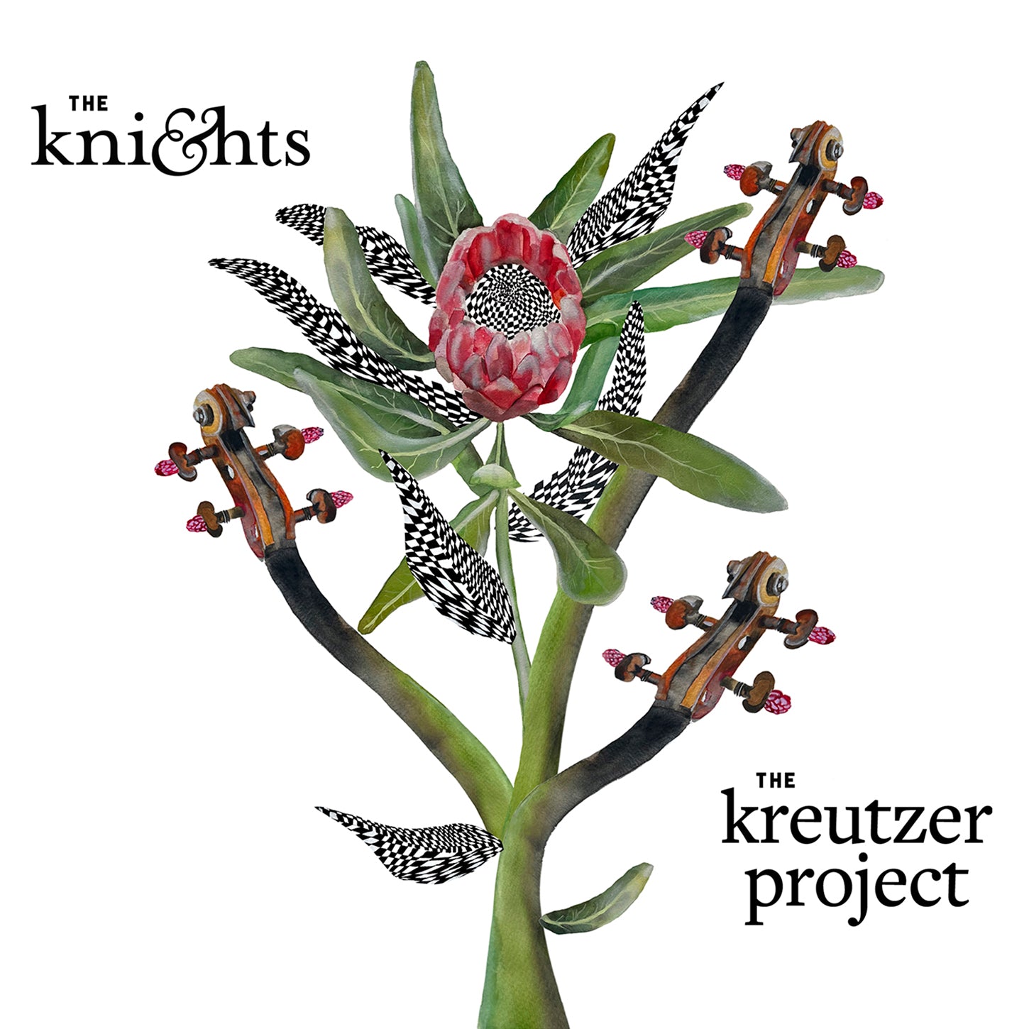 The Kreutzer Project / Jacobsen, The Knights