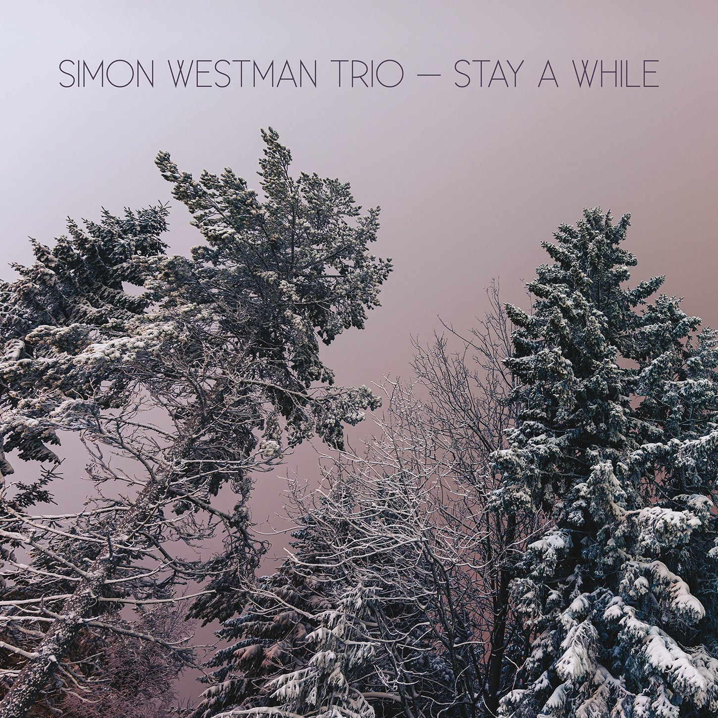 Stay a While / Simon Westman Trio